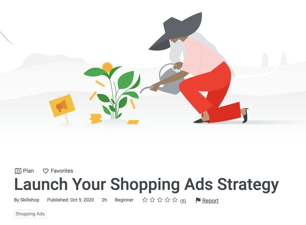 Google Shopping Ads e-learning course page